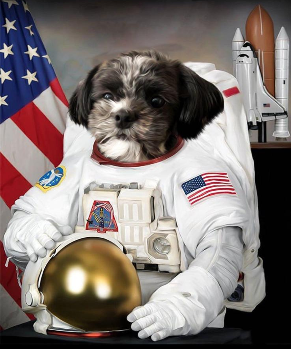 Millie the Space Dog, Service Booster's mascot in an astronaut suit